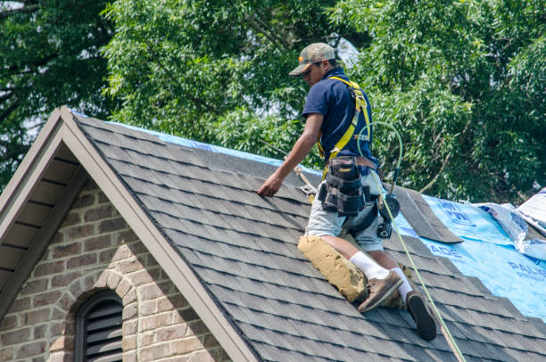 Best New Roof Installation  in Westernport, MD